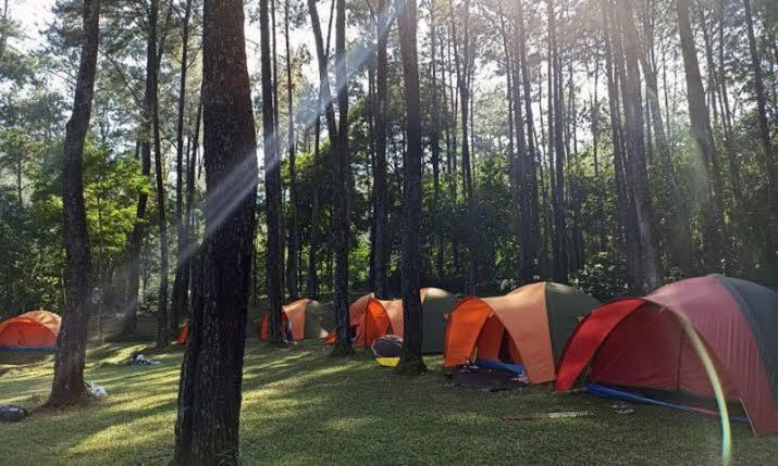 Отель Tapian Asri Camp Букиттинги Экстерьер фото